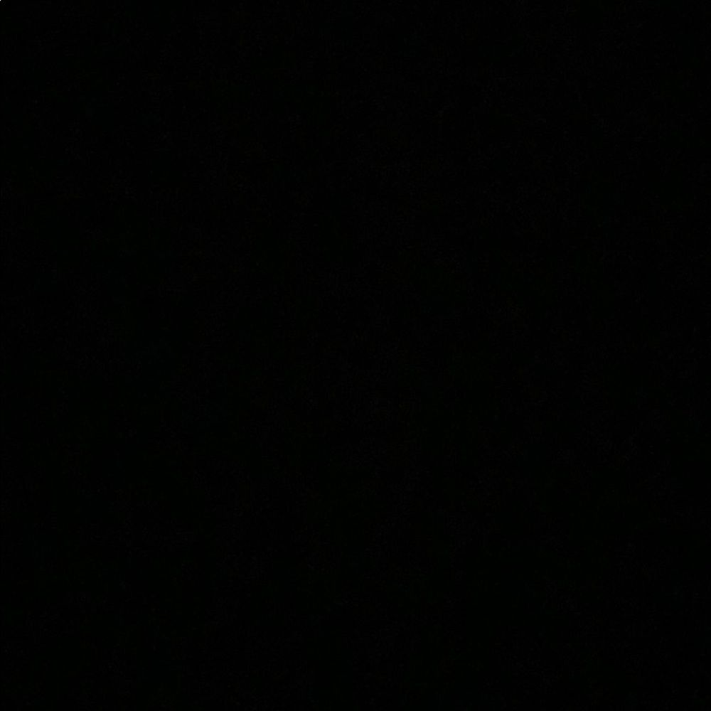 Meet your Posher, Dahlia